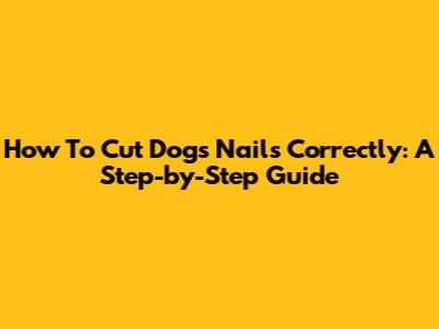 How To Cut Dog's Nails Correctly: A Step-by-Step Guide