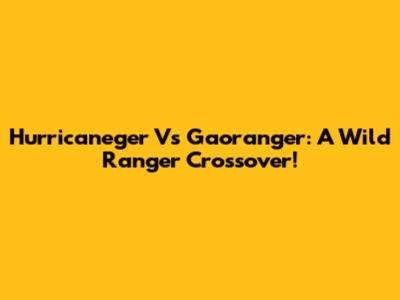 Hurricaneger Vs Gaoranger: A Wild Ranger Crossover!