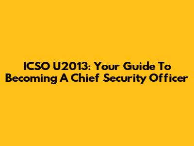 ICSO U2013: Your Guide To Becoming A Chief Security Officer