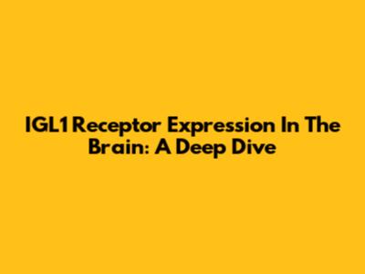 IGL1 Receptor Expression In The Brain: A Deep Dive