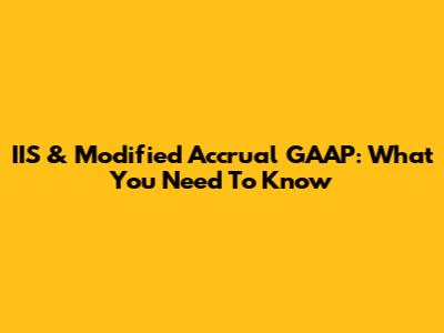 IIS & Modified Accrual GAAP: What You Need To Know