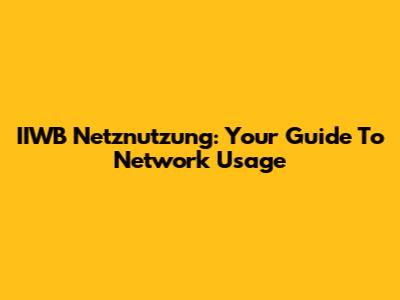 IIWB Netznutzung: Your Guide To Network Usage