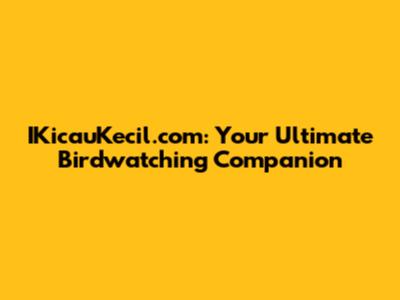 IKicauKecil.com: Your Ultimate Birdwatching Companion