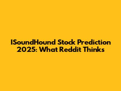 ISoundHound Stock Prediction 2025: What Reddit Thinks