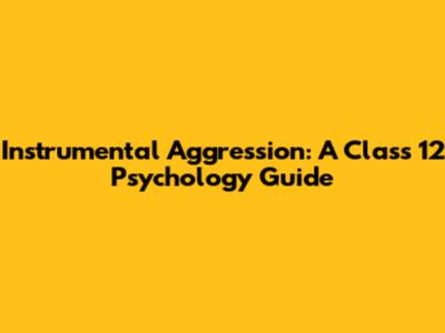 Instrumental Aggression: A Class 12 Psychology Guide
