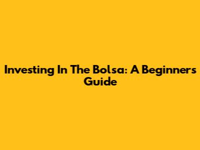 Investing In The Bolsa: A Beginner's Guide
