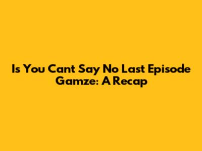 Is You Can't Say No Last Episode Gamze: A Recap