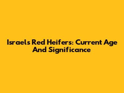 Israel's Red Heifers: Current Age And Significance