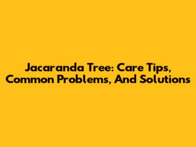 Jacaranda Tree: Care Tips, Common Problems, And Solutions