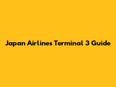 Japan Airlines Terminal 3 Guide