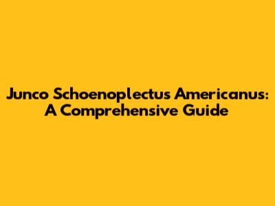 Junco Schoenoplectus Americanus: A Comprehensive Guide