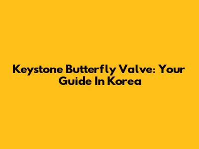 Keystone Butterfly Valve: Your Guide In Korea