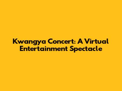 Kwangya Concert: A Virtual Entertainment Spectacle