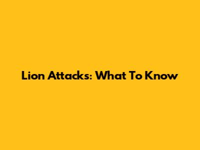 Lion Attacks: What To Know