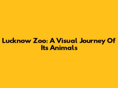 Lucknow Zoo: A Visual Journey Of Its Animals