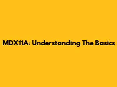 MDX11A: Understanding The Basics