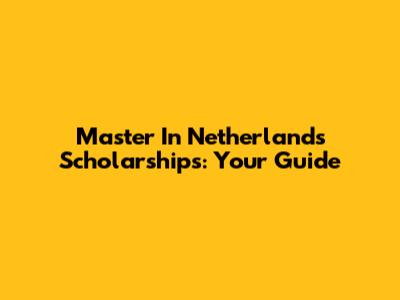 Master In Netherlands Scholarships: Your Guide