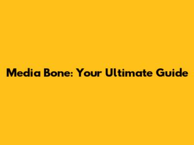Media Bone: Your Ultimate Guide
