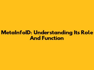 MetaInfoID: Understanding Its Role And Function