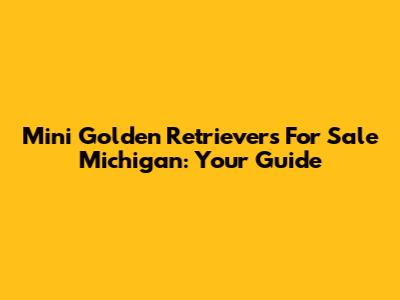 Mini Golden Retrievers For Sale Michigan: Your Guide