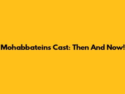 Mohabbatein's Cast: Then And Now!