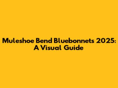 Muleshoe Bend Bluebonnets 2025: A Visual Guide