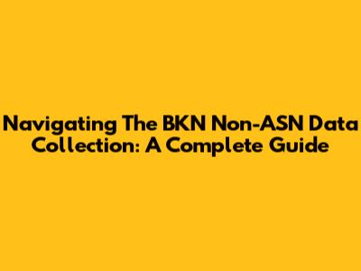 Navigating The BKN Non-ASN Data Collection: A Complete Guide