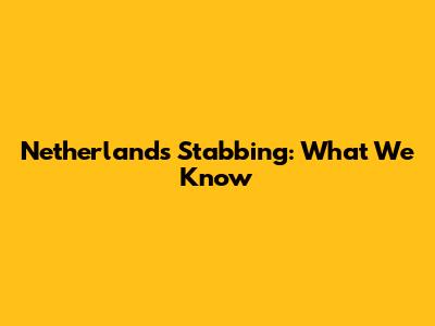 Netherlands Stabbing: What We Know