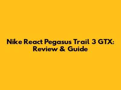 Nike React Pegasus Trail 3 GTX: Review & Guide