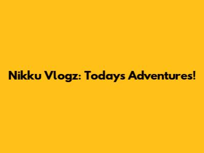 Nikku Vlogz: Today's Adventures!