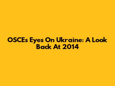OSCE's Eyes On Ukraine: A Look Back At 2014