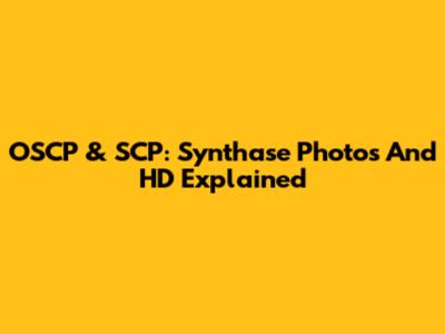 OSCP & SCP: Synthase Photos And HD Explained
