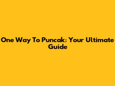 One Way To Puncak: Your Ultimate Guide