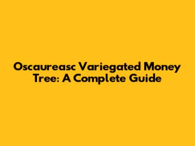 Oscaureasc Variegated Money Tree: A Complete Guide