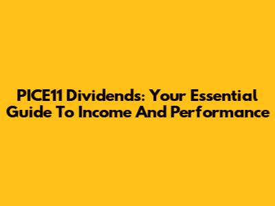 PICE11 Dividends: Your Essential Guide To Income And Performance