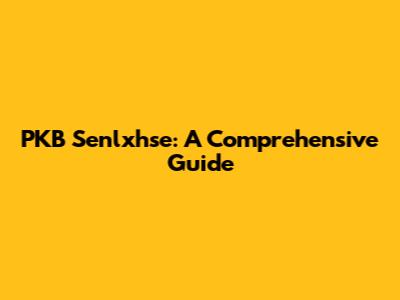 PKB Senlxhse: A Comprehensive Guide