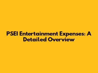PSEI Entertainment Expenses: A Detailed Overview