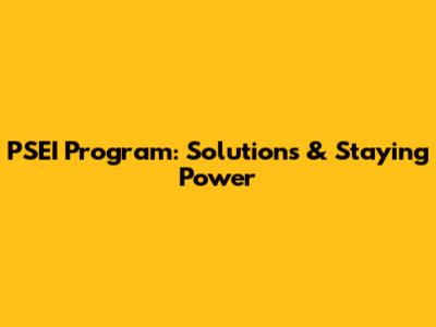 PSEI Program: Solutions & Staying Power