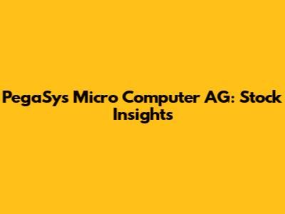 PegaSys Micro Computer AG: Stock Insights