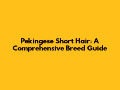 Pekingese Short Hair: A Comprehensive Breed Guide