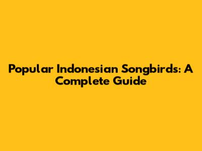 Popular Indonesian Songbirds: A Complete Guide