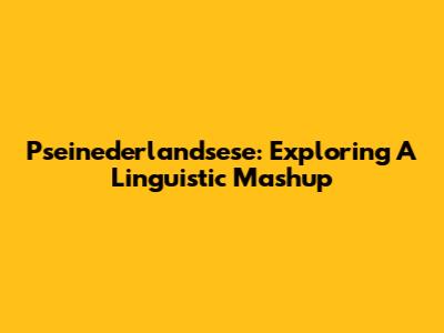 Pseinederlandsese: Exploring A Linguistic Mashup