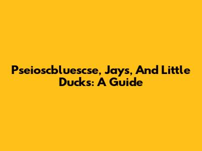 Pseioscbluescse, Jays, And Little Ducks: A Guide