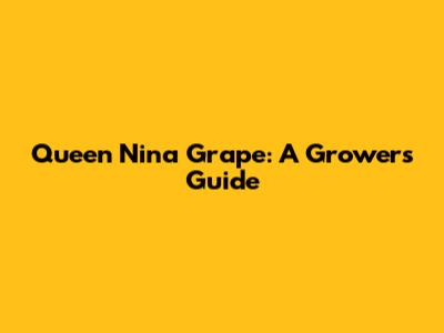 Queen Nina Grape: A Grower's Guide