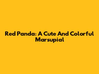 Red Panda: A Cute And Colorful Marsupial