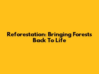 Reforestation: Bringing Forests Back To Life