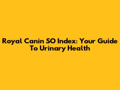 Royal Canin SO Index: Your Guide To Urinary Health