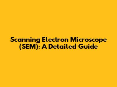 Scanning Electron Microscope (SEM): A Detailed Guide