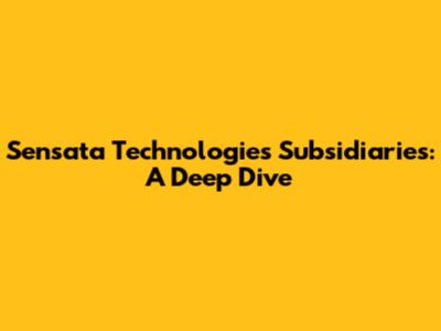 Sensata Technologies Subsidiaries: A Deep Dive