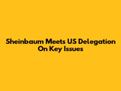 Sheinbaum Meets US Delegation On Key Issues